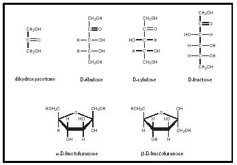 Figure 4. The structures of selected ketoses. Note that dihydroxyacetone does not have a chiral carbon and so does not have D and L variants.