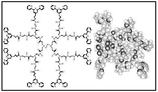Figure 1. Molecular representation of a dendrimer (left) and a 3-D molecular model of the same dendrimer (right).