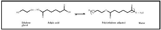 Figure 2. Wallace Carothers attempted to form polymers from the reaction of ethylene glycol (a diol) and apidic acid (an aliphatic diacid).