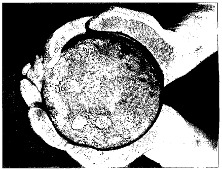 A nine-and-a-half pound button of uranium-235 is held. It will be manufactured into a nuclear weapons component.