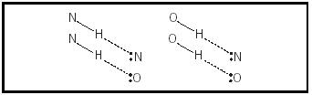 Figure 1. Atoms necessary for hydrogen bonding.