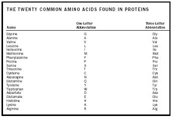 Table 1. The twenty common amino acids found in proteins.