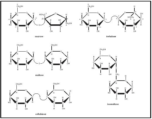 Figure 2. Selected disaccharides.