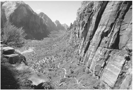 Concerns over the pollution of natural resources such as this valley in Zion National Park, Utah prompted the development of green chemistry in the 1990s.