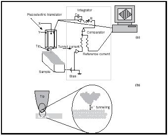 Figure 1. (a) A schematic of a scanning tunneling microscope (STM) showing the primary components including: the piezoelectric tip translator, the sample, the feedback loop, and the computer. (b) Because of the exponential distance dependence of the tunneling current, the majority of the tunneling between the tip and surface is through the closest atoms between the two.