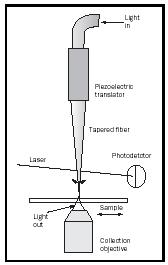 Figure 5. A schematic of a near-field scanning optical microscope, showing the primary components including: the piezoelectric tip translator, the sample, the fiber optic probe, and the photodetector. The fiber is oscillated from side to side and its oscillation measured in the photodetector to control the position of the fiber over the surface. The light leaving the end of the tip passes through the sample and is then collected in a typical microscope objective. The sample is scanned by moving it from side to side under the tip.