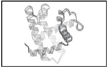 Figure 1. This structure of myoglobin illustrates a typical tertiary structure.