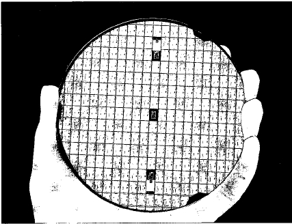 A circular wafer of silicon carrying many individual integrated circuits.