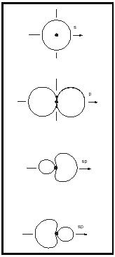 Figure 7. Formation of two sp hybrid orbitals resulting from the combination of one s and one p atomic orbital.