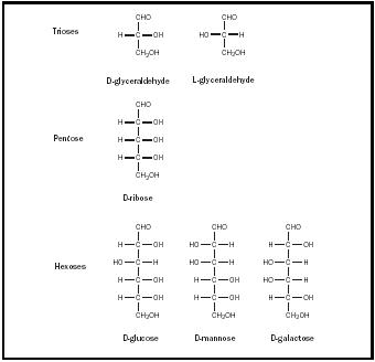 Figure 1. The structure of selected aldoses.