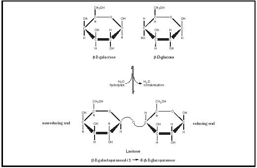 Figure 1. Formation of a glycosidic bond.