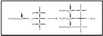 Figure 1. The formation of a triglyceride of stearic acid.