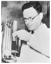 British biochemist Sir Hans Adolf Krebs, corecipient of the 1953 Nobel Prize in physiology or medicine, "for his discovery of co-enzyme A and its importance for intermediary metabolism."
