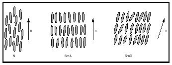 Figure 1. Rodlike molecules in the nematic phase (N), the smectic A phase (SmA) and in the smectic C phase (SmC). The director is denoted as n.
