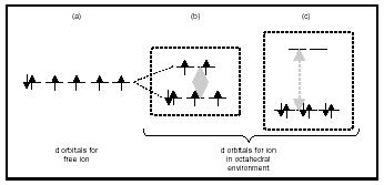 Figure 1. Splitting of d orbitals for a transition metal ion.