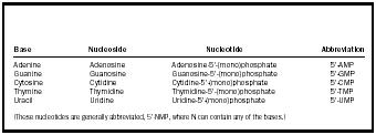 Table 1. Purine and pyrimidine bases, the nucleosides, nucleotides, and corresponding abbreviations.