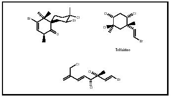 Figure 4. Three of the halogenated terpenes found in red algae, including (at top right) the natural insecticide telfairine.