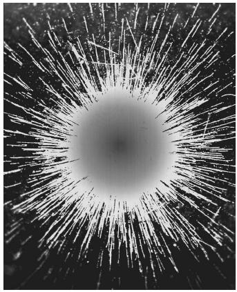 The radioactive emission of alpha particles from radium, captured on photographic film.