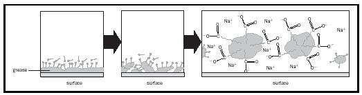 Figure 2. How soap works: The hydrophobic tails of soap molecules embed in grease and oil, breaking it up into particles called micelles that lift off the surface and disperse into water.