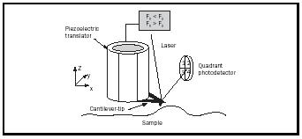 Figure 4. A schematic of an atomic force microscope (AFM), showing the primary components including: the piezoelectric translator, the sample, the cantilever-tip assembly, and the photodetector. In its simplest operating mode (contact mode), the feedback loop of the AFM maintains a constant force between the tip and sample. The force is monitored by measuring the deflection of the cantilever-tip assembly using a laser beam scattered into a quadrant photodetector.