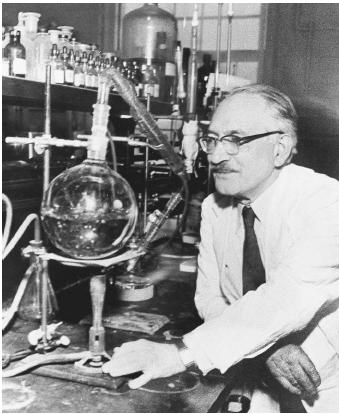 American biochemist Selman Waksman, recipient of the 1952 Nobel Prize in physiology or medicine for his discovery of streptomycin.