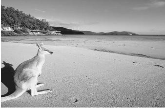 Zirconium is found in beach sand, such as on this beach in Australia.