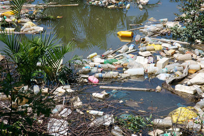 Water Pollution 3381